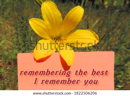        Inspirational love quote. Positive message says Remembering the best I remember you . Blurry background.             