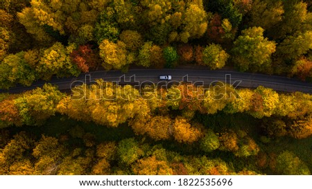  stunning top view of the morning autumn forest and road with a car. High quality photo
