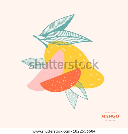 Vector doodle mango. Hand drawn illustrations.