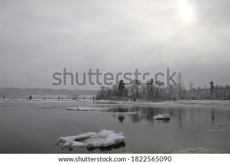 A view of a river with chunks of ice with a forested island in the background
