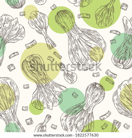 Seamless pattern with bok choy: plant and piece of pak choi. Vector hand drawn illustration. 