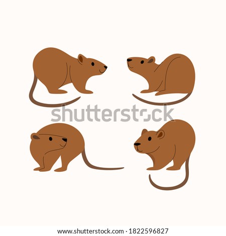 Cartoon nutria icon set. Cute animal character in different poses. Vector illustration for prints, clothing, packaging, stickers.