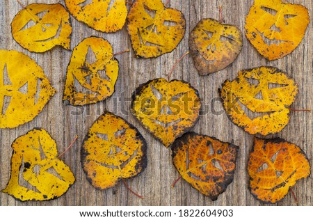 dry foliage on a wooden background. on the leaves made a scary mask. holiday of Halloween, leaf Jack lantern mask. creative background, flat layout. yellow leafage with a cut-out face. copy space