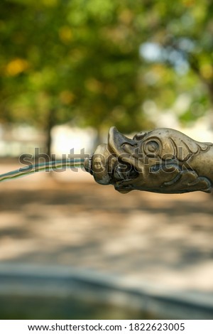 Close-up of a duck's head in metal, which serves as fountain inlet