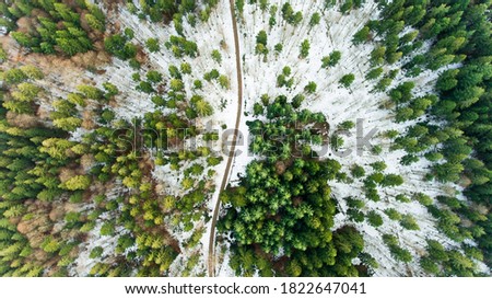 Aerial picture of a frozen road forest in winter