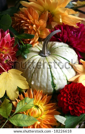 autumn arrangement Royalty-Free Stock Photo #18226618