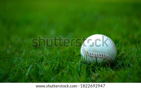 White baseball ball on green grass