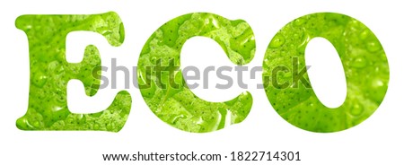 Text "ECO" made from fresh green leaves texture isolated on white. 