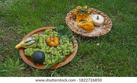 Decorated bowls with grapes and ornamental gourds