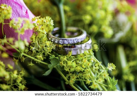 Macro picture of the new set of two white gold wedding rings with diamonds, placed on the green branch, pink flowers, yellow and green leaves on the background