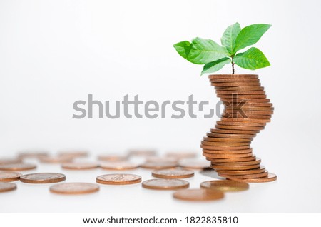 business financial planning concept. row of coins stack with green plant growth up on white background. money management sustainable savings. success investment.