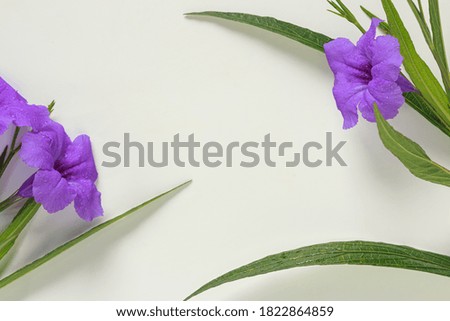 Purple flowers on a white background with copy space