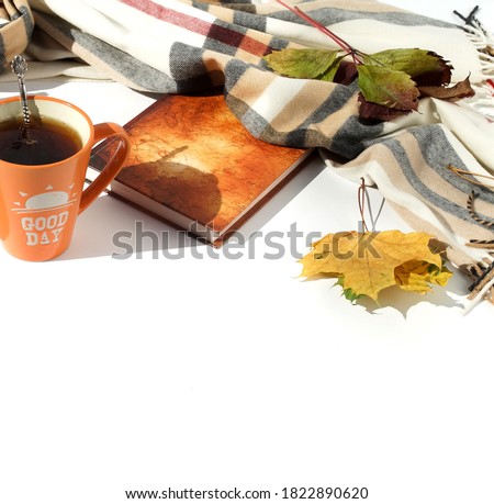 Autumn background. Scarf in a cage, book, tea cup and  autumn leaves isolated on white backdrop top view. Copy space