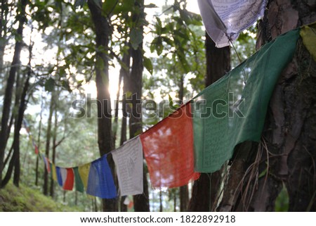 Buddhist mantra written cloth flags hanging on trees. Buddhists perform their rituals on a different way like this. Picture taken in Kathmandu, Nepal
