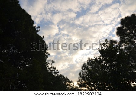 Cloudy sky and trees around. Picture captured in Kathmandu valley Nepal.