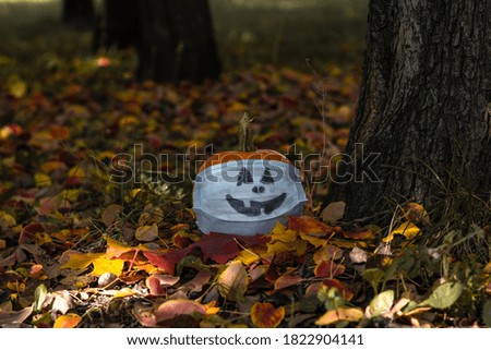 Small orange pumpkin in medical mask with drawn face lies on fallen leaves in autumn park. Selective focus. Theme of Halloween during coronavirus pandemic.