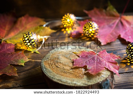 Autumn still life of fallen maple red and yellow leaves and warm lights garlands on a wooden background. Focus on a leaf on a section of a tree. The atmosphere of the holiday, Halloween, thanksgiving