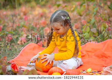 Little cute girl in an orange T-shirt draws eyes on a pumpkin with a marker, preparation for Halloween, a child in the park on a mat, autumn composition.
