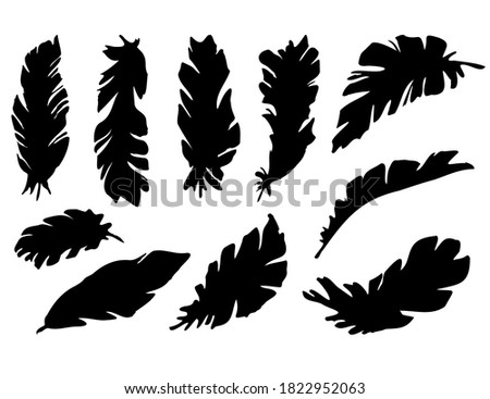 Vector set of black silhouettes of tropical leaves. Collection of exotic banana leaves isolated on a white background. Horizontal composition