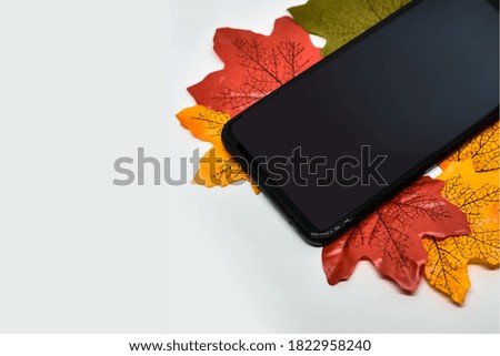 Smartphone lying on autumn leaves. Seasonal background with space for text. Multicolored bright leaves. Autumn banner for advertising. The phone lies on autumn leaves isolated on a white background.