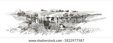 Vector cows on the field. Meadow, alkali, lye, grass, hills landscape. Flock of calves, farm animals with countryside pastures panorama. sketch illustration Royalty-Free Stock Photo #1822977587