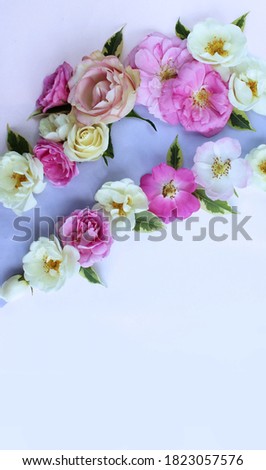Pink roses on a light background. Delicate floral arrangement in pastel colors. Background for greeting cards, invitations