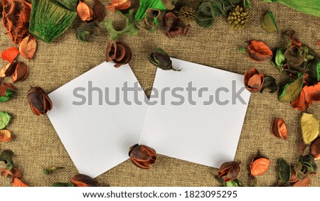 Small white sheets of notepaper, rustic and colorful decorative floral outline