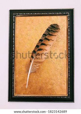 Beautiful eagle feather, Golden picture painted with acrylic paints. Text background, top view