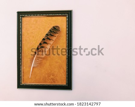 Beautiful eagle feather, Golden picture painted with acrylic paints. Text background, top view