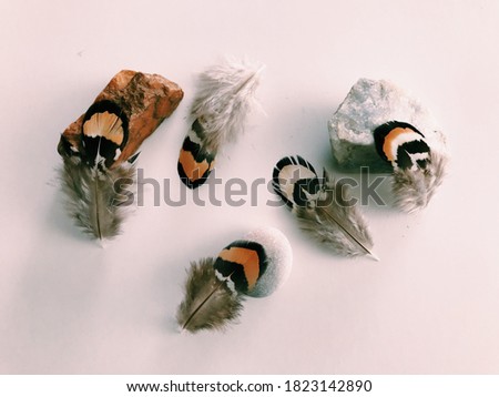Feather texture background, layout for text. Decorative, fluffy and striped small feathers lie on natural stones. Beautiful magic background