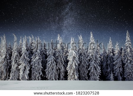 Majestic landscape with forest at winter night time with stars in the sky. Scenery background.