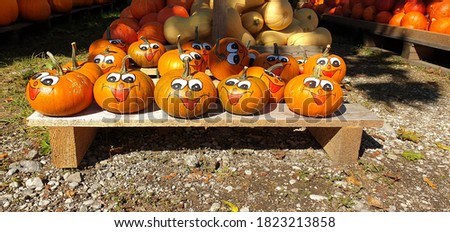 funny painted pumpkin on a pallet 
