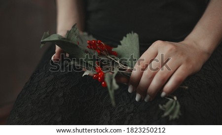 female hands hold red viburnum berries on a dark background