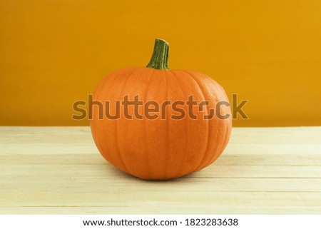 Fresh and yellow pumpkin as background for text. Round yellow pumpkin, side view