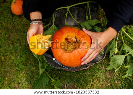 Man hands cut pumpkin, open before carving for Halloween