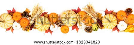 Autumn border of assorted pumpkins, gourds, leaves and corn. Top view isolated on a white background.
