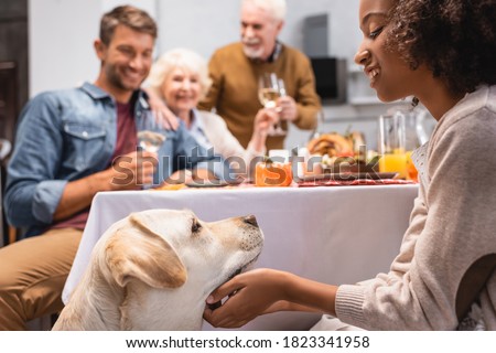 selective focus of african american girl stroking golden retriever while family celebrating thanksgiving day