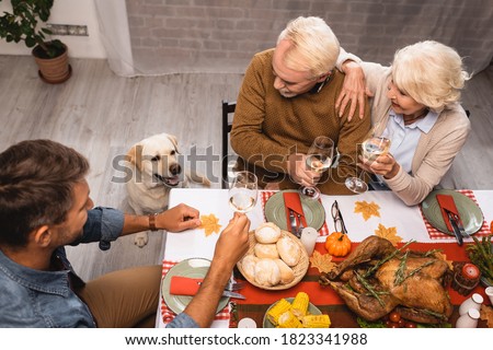 high angle view of golden retriever near family holding glasses of white wine during thanksgiving dinner