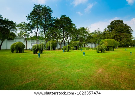 Green lawn and blue sky in the park.