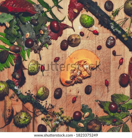 Autumn composition. Frame from autumn ingredients. Flat lay, top view.