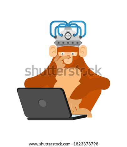 Monkey in brain stimulation helmet and computer. Chimpanzee looks at laptop. brain-control helm