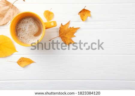 Beautiful autumn background with fallen leaves with place for text top view.