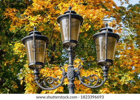 street lamp on a background of beautiful leaves