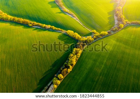 Abstraction agricultural area, green wavy fields in sunny day. Aerial photography, top view drone shot. Location place of Ukrainian agrarian region, Europe. Photo of ecology concept. Beauty of earth.