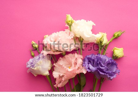 Beautiful pink and purple eustoma flowers (lisianthus) in full bloom with green leaves. Bouquet of flowers on a pink bright background.	