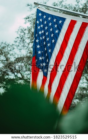 Picture of American Flag with a green leafy foreground 