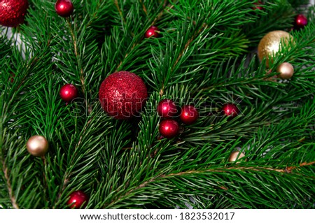 Christmas branch of natural spruce with red and gold balls close-up. Christmas background.