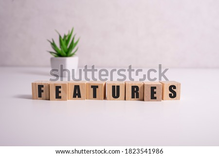 FEATURE word made with building blocks on white. Royalty-Free Stock Photo #1823541986