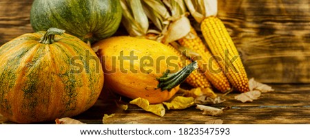 Autumn varied still life on a wooden background. Harvesting concept. Photo banner.