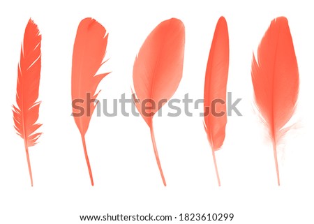 Beautiful collection bright orange lush lava colors trend feather isolated on white background